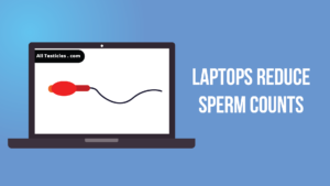 Can Laptops reduce sperm count? & How to reverse?