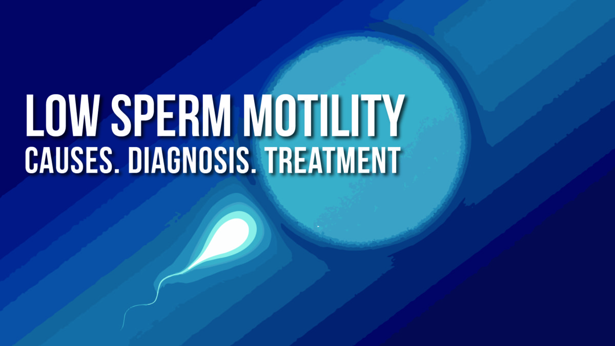 Low sperm motility From Causes to Treatments AllTesticles