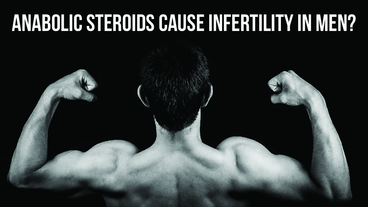 How do Anabolic Steroids cause infertility in men?