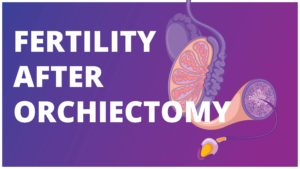 Fertility after Orchiectomy: Effects of surgery, Chemotherapy and Radiotherapy